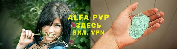 ешки Ельня