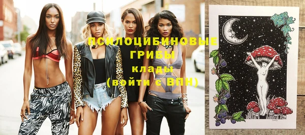 ешки Ельня
