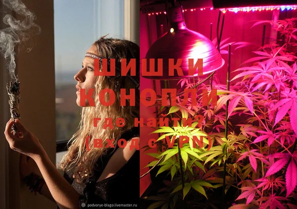 ешки Ельня