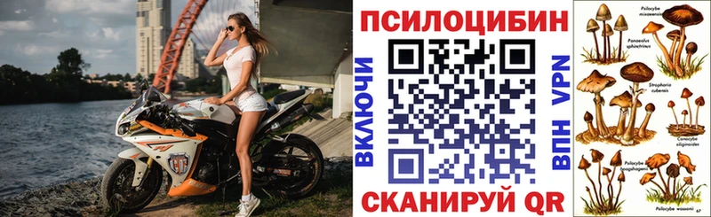 Псилоцибиновые грибы мухоморы  Купить  Западная Двина 